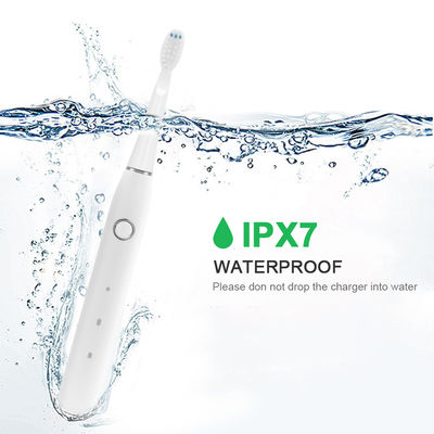 Ultralight 3.7V Oral Care Sonic Toothbrush , IPX7 Portable Electric Toothbrush